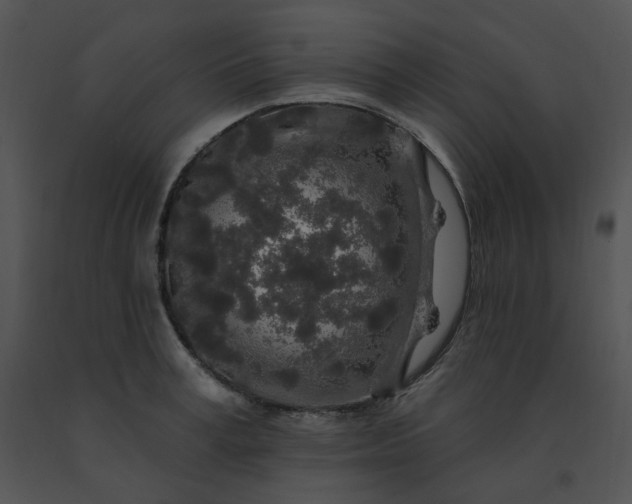 X0000091530995200708311307
