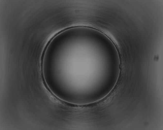 X0000091530996200708311307