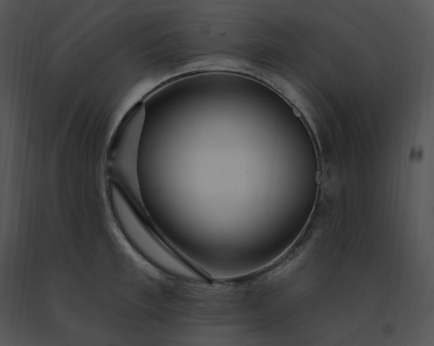 X0000091530997200708311307