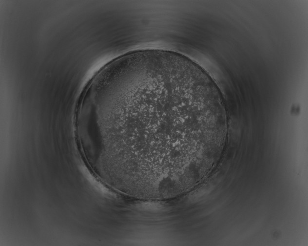 X0000091530998200708311307