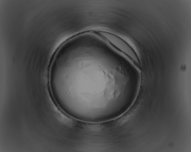 X0000091530999200708311307