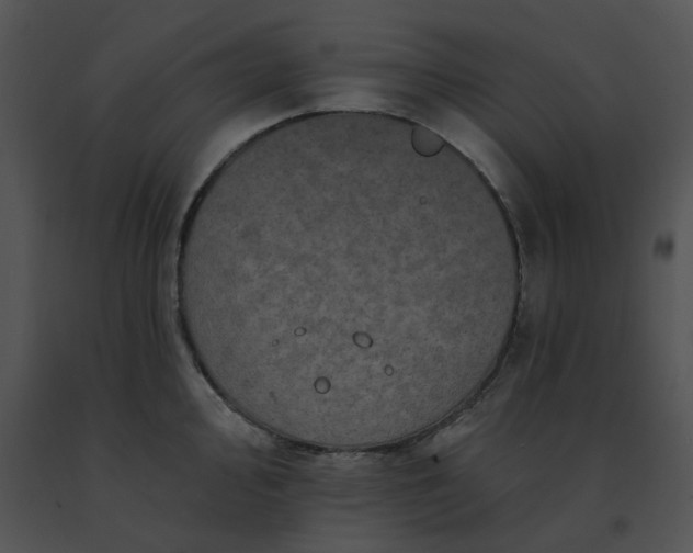 X0000091531000200708311307