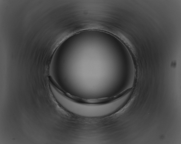X0000091531001200708311307