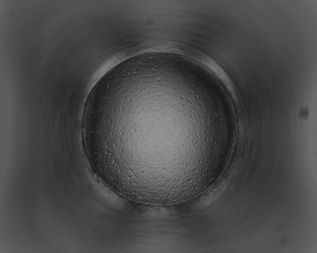 X0000091531002200708311307