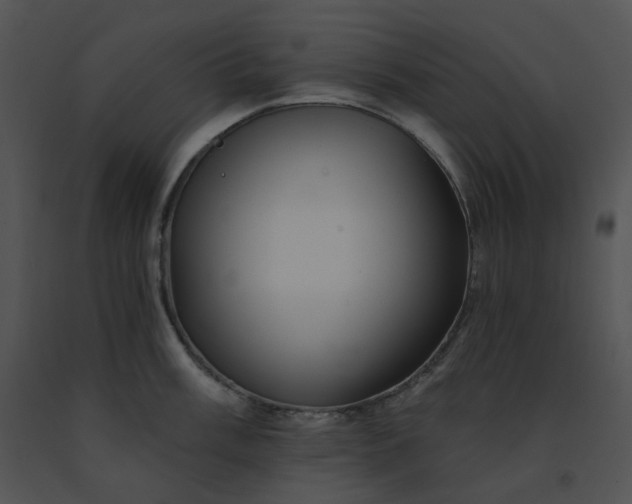 X0000091531003200708311307