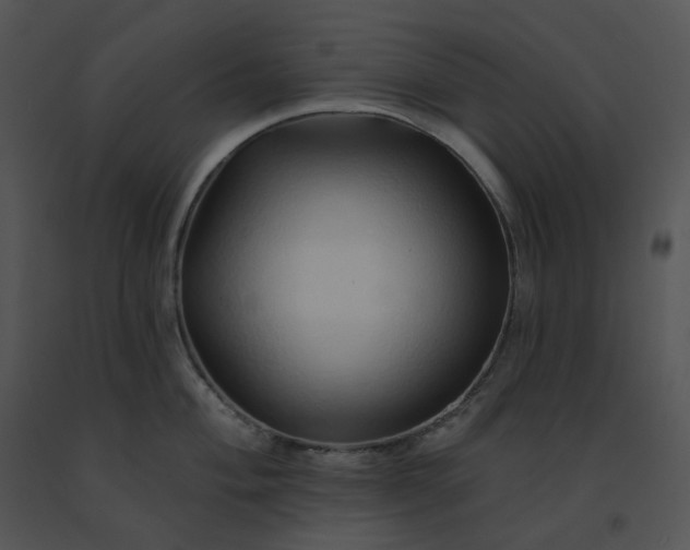 X0000091531004200708311306