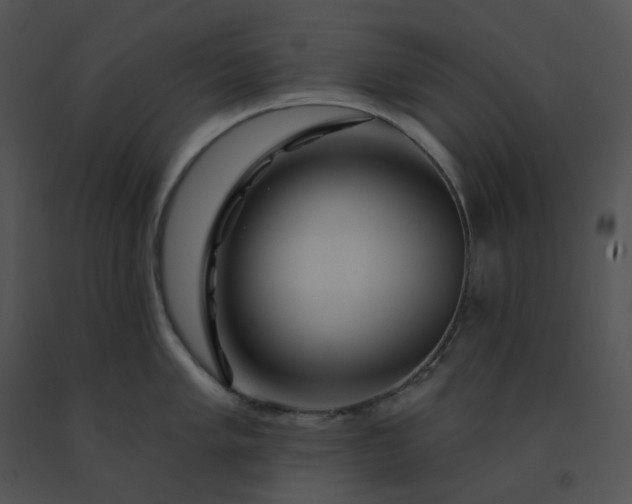 X0000091531005200708311306