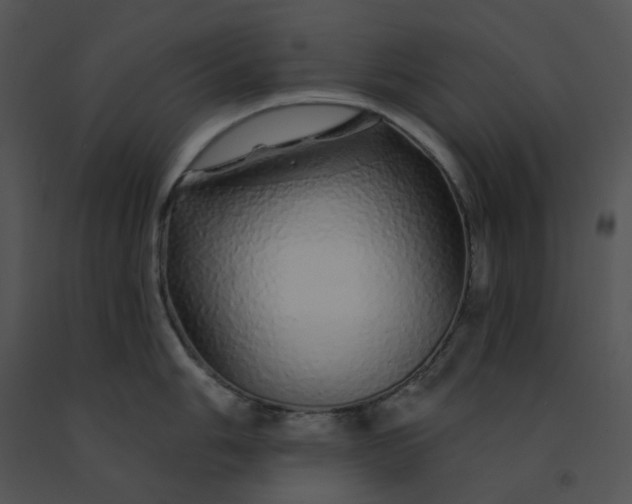 X0000091531006200708311306