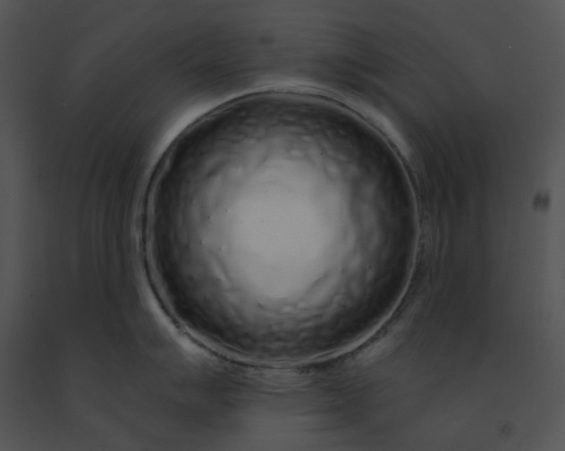 X0000091531007200708311306