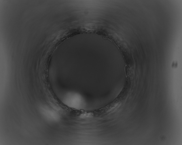 X0000091531009200708311306