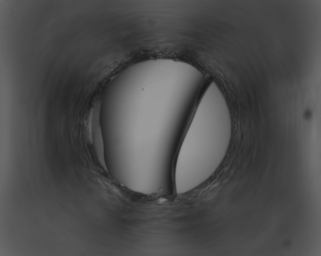 X0000091531010200708311306