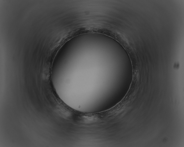 X0000091531012200708311306