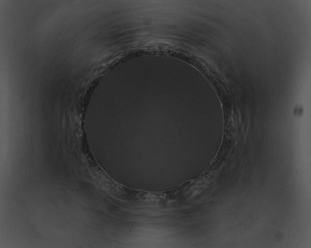X0000091531013200708311306