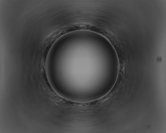 X0000091531014200708311306