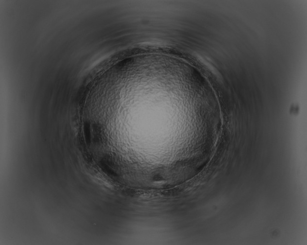 X0000091531015200708311306