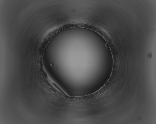 X0000091531016200708311306