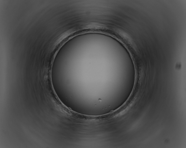 X0000091531017200708311306