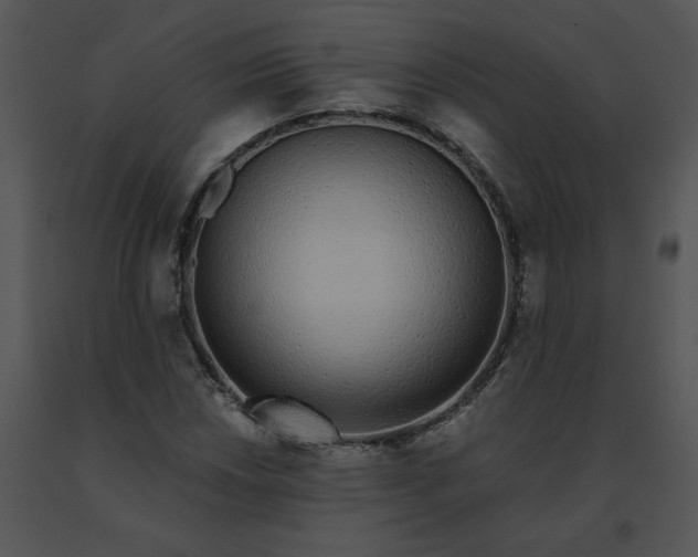 X0000091531018200708311306