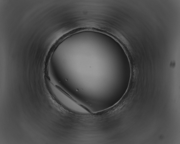 X0000091531020200708311306