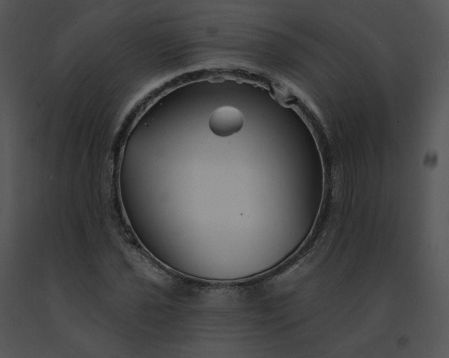 X0000091531021200708311306