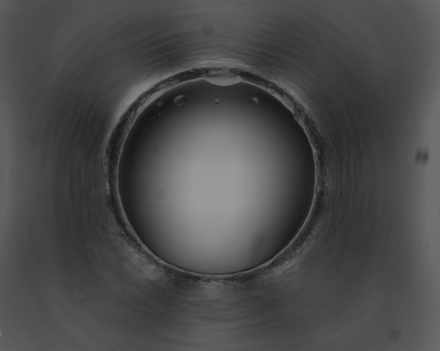 X0000091531022200708311306
