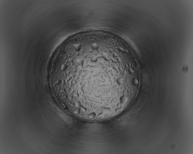 X0000091531023200708311306