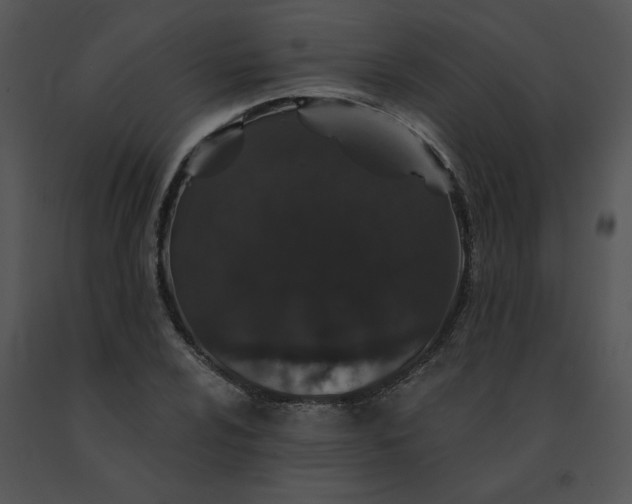 X0000091531024200708311306
