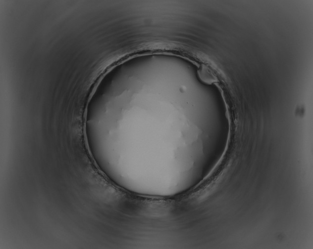 X0000091531025200708311306