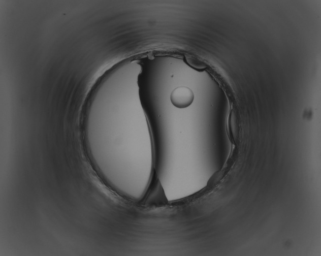 X0000091531026200708311306