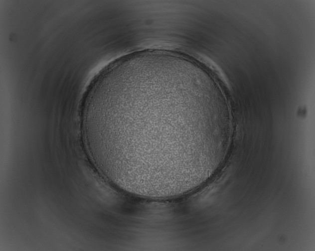 X0000091531027200708311306