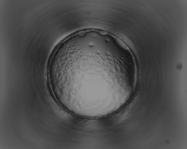 X0000091531028200708311306
