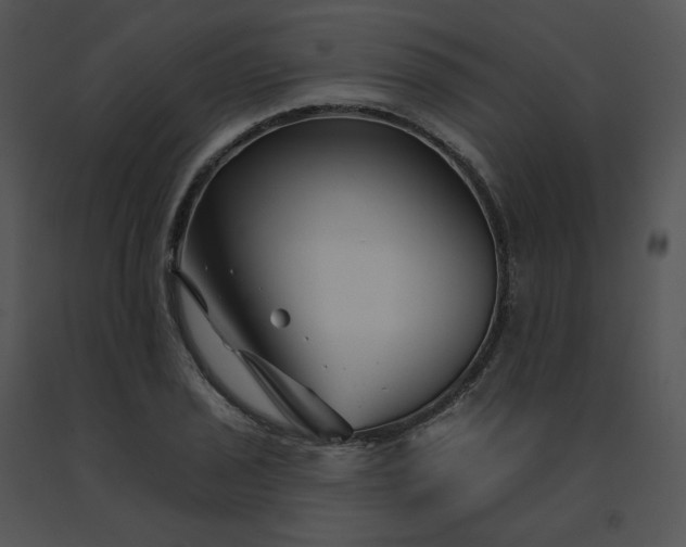 X0000091531029200708311306