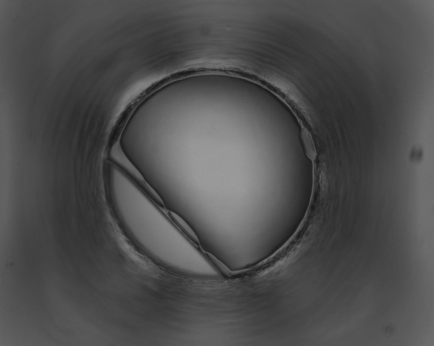 X0000091531030200708311306