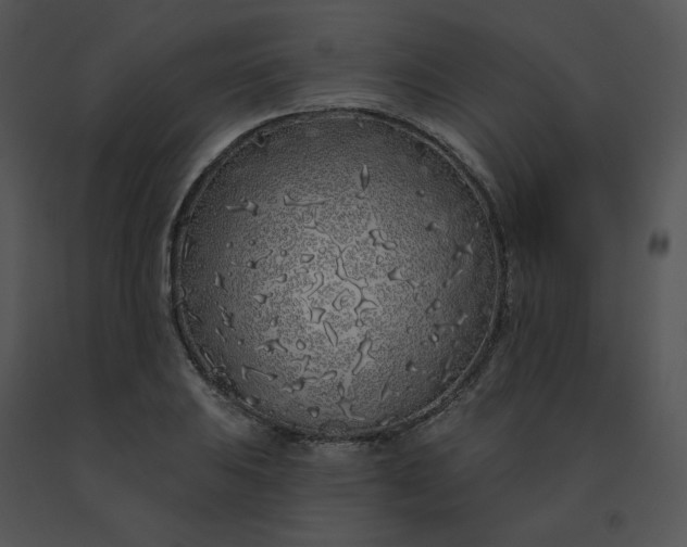 X0000091531031200708311306