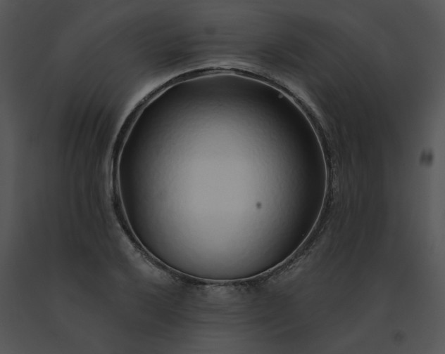 X0000091531032200708311306