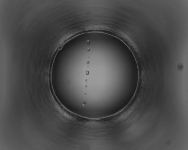 X0000091531033200708311306