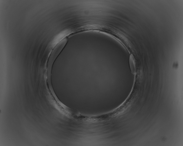 X0000091531034200708311306