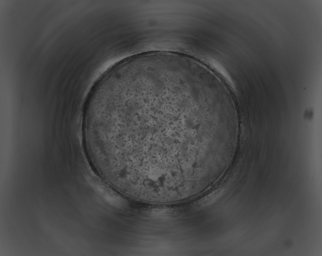X0000091531035200708311306