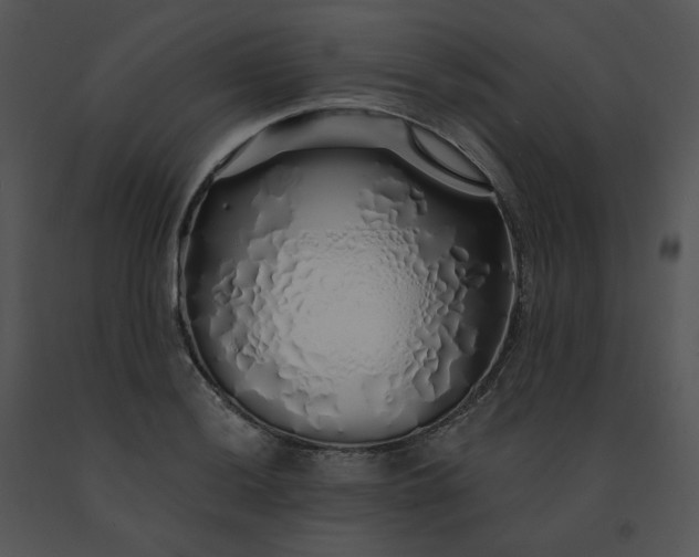 X0000091531036200708311306