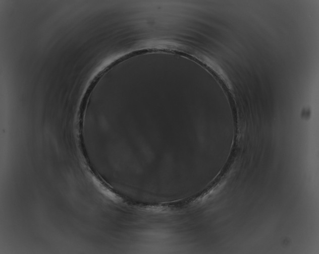 X0000091531037200708311306