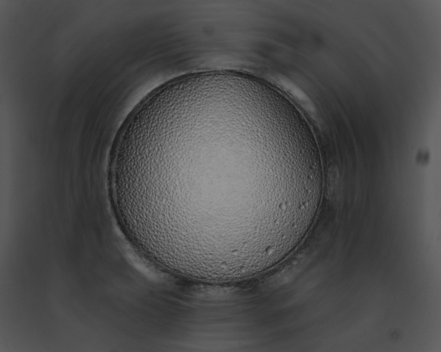 X0000091531039200708311306