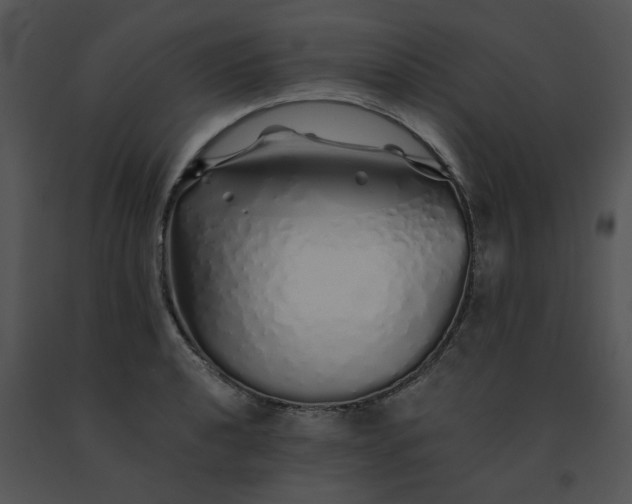 X0000091531040200708311306