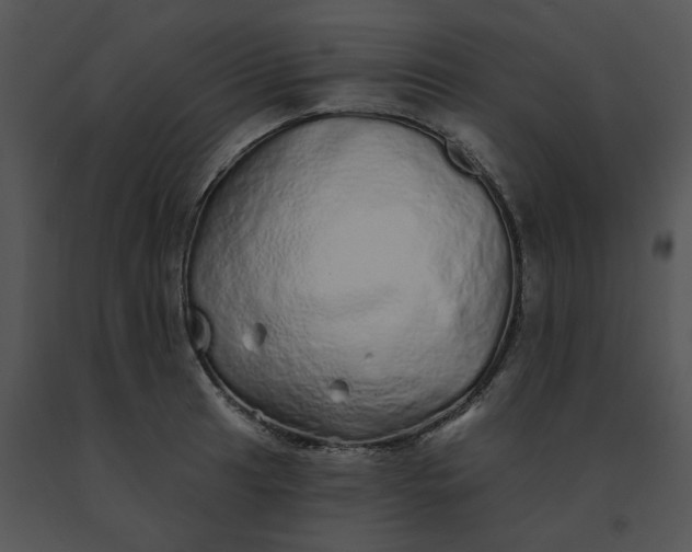 X0000091531041200708311306