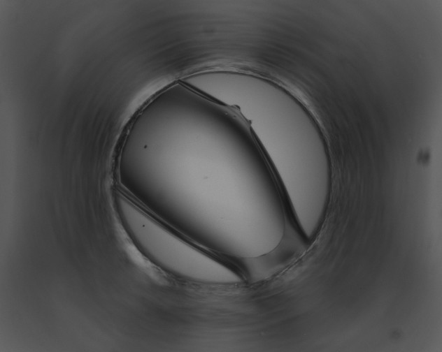 X0000091531042200708311306