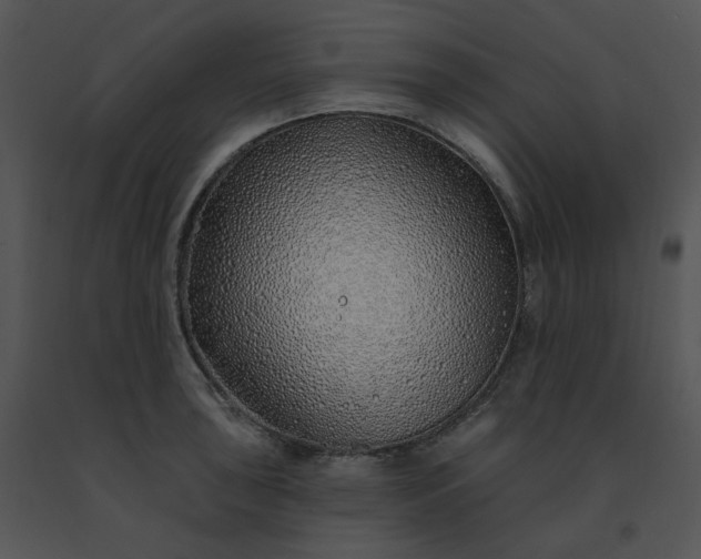 X0000091531043200708311306