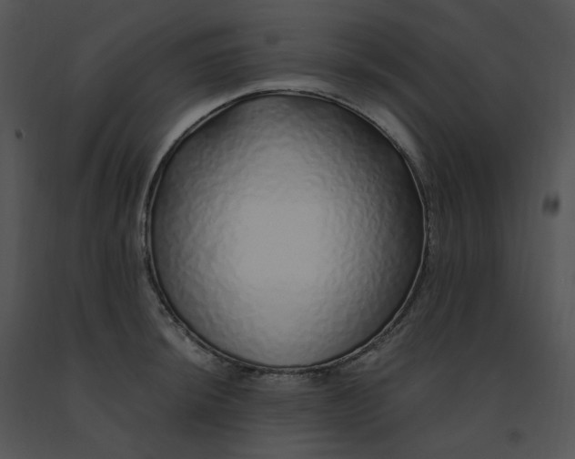 X0000091531044200708311306