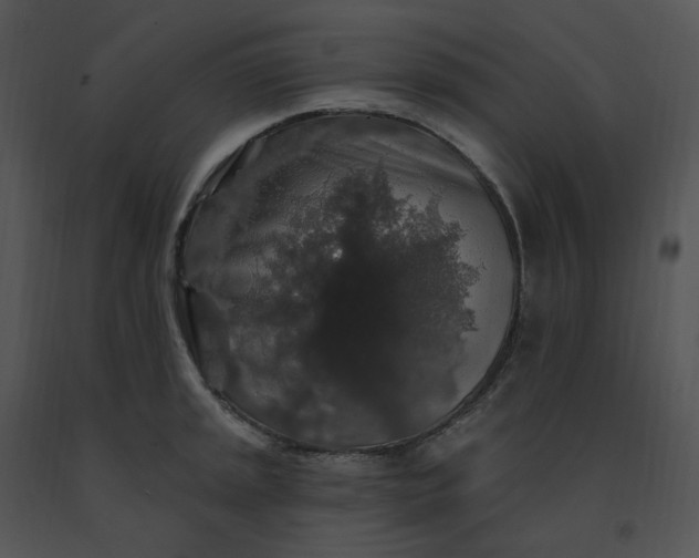 X0000091531045200708311306