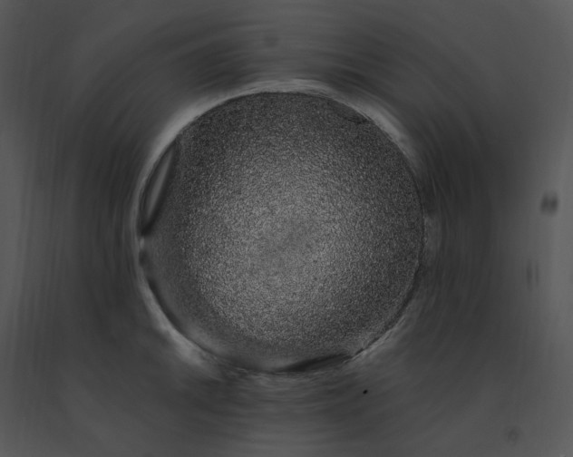 X0000091531046200708311306
