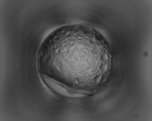 X0000091531047200708311306