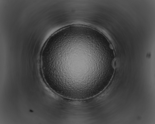X0000091531048200708311306